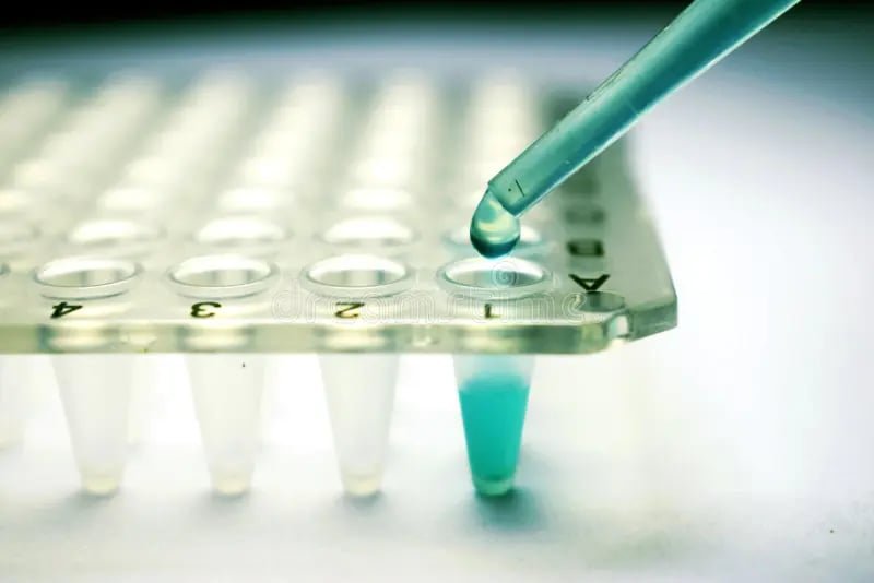 Apa Itu Stem Cell? Panduan Lengkap Definisi, Jenis, dan Cara Kerja