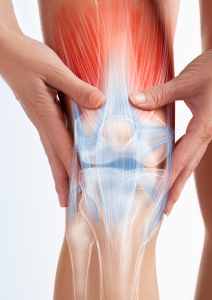 Knee Mobility Enhancement